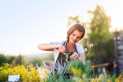 Healthy green lawn care in Abbey Wood garden