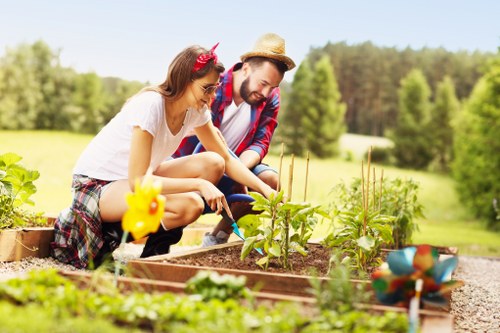 Seasonal garden maintenance improving an Abbey Wood outdoor space