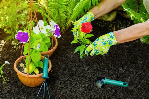 Example garden clearance quote for a local Abbey Wood property