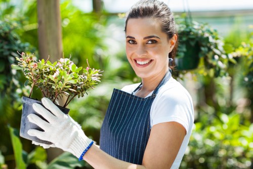 Abbey Wood garden maintenance with tidy borders and healthy plants
