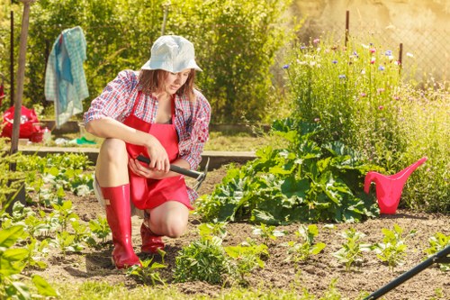Seasonal lawn care for Abbey Wood gardens