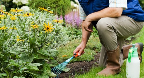 Tidy Abbey Wood garden prepared for landscaping