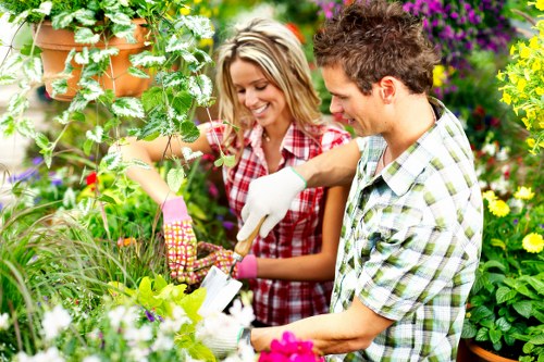 Treating weeds and moss in Abbey Wood lawn