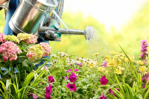 Seasonal garden maintenance in Abbey Wood with tidy outdoor space