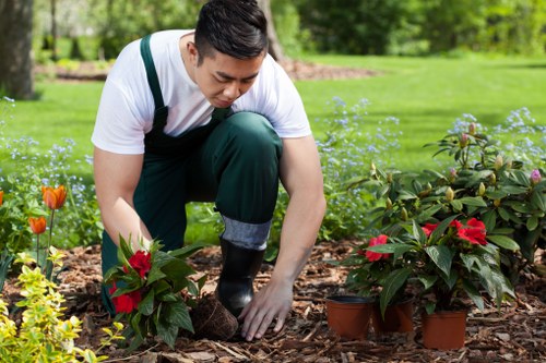 Mowing and edging a lawn in Abbey Wood