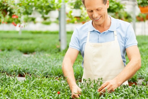 Checking details during a gardening complaint investigation