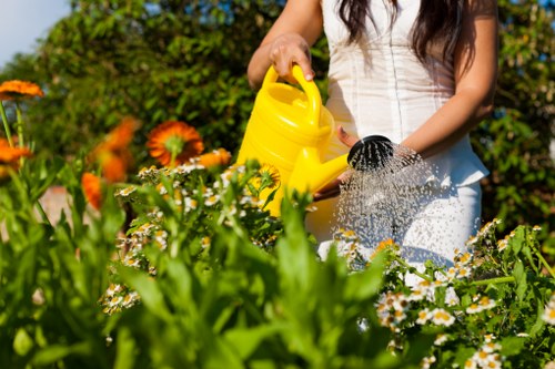 Professional landscape gardening in Abbey Wood featuring patio and greenery