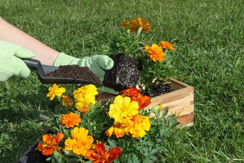 Final resolution stage of a gardening complaints procedure