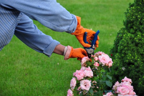 Professional fencing installation in Abbey Wood for homes and businesses