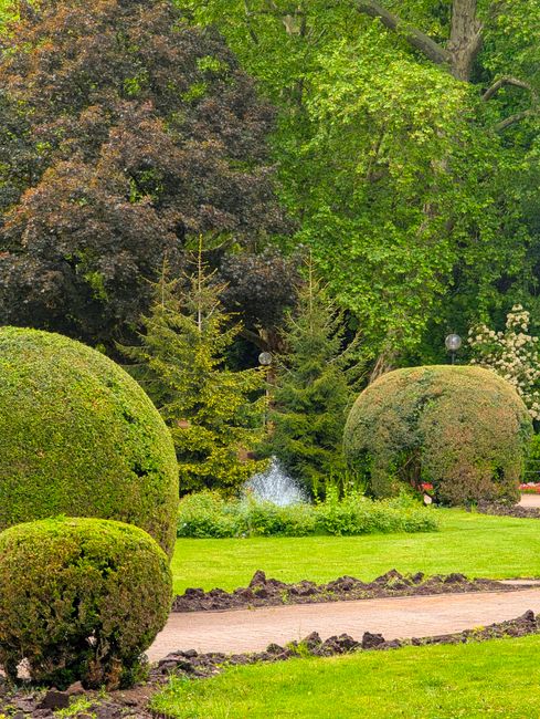 Avoid hidden garden maintenance charges Abbey Wood gardeners