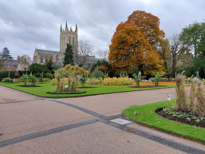 A narrow, paved footpath curves gently through a lush, green woodland area, flanked on both sides by dense foliage of various deciduous trees with abundant leaves. The canopy above creates a natural t