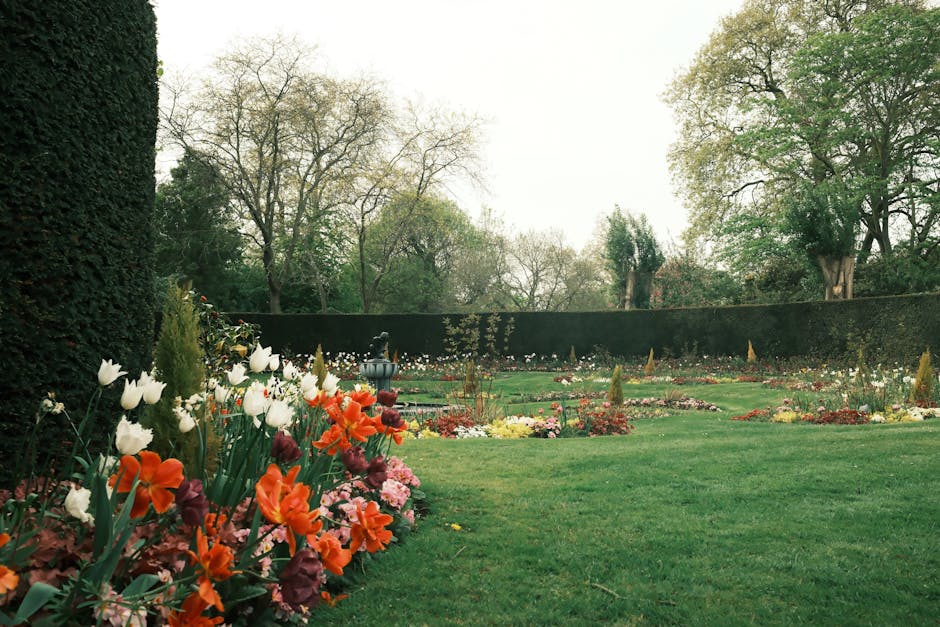 A well-maintained garden in Lesnes Abbey Woods featuring vibrant flower borders along a lush, trimmed lawn. On the left, there are colorful tulips and hyacinths with white, orange, and purple blossoms